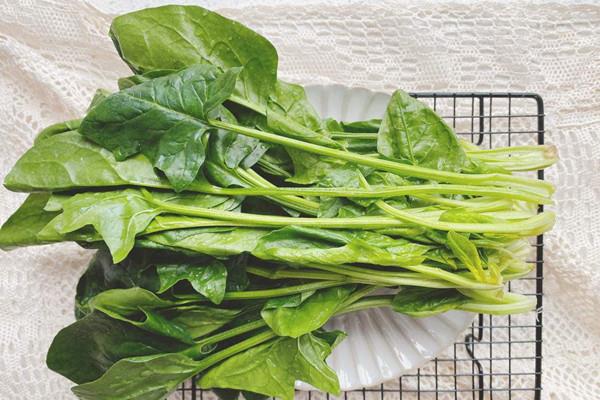 菠菜有什么营养价值 菠菜有减肥功效吗 菠菜有什么营养价值 菠菜有减肥功效吗