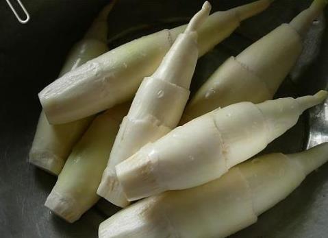 茭白老了还能吃吗?茭白老了吃会怎么样