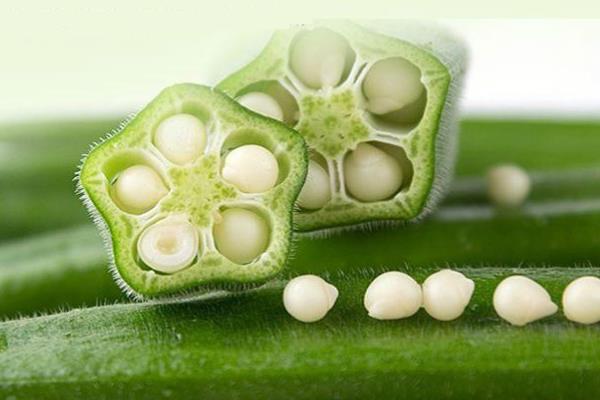 秋葵能治胃病吗 有这个功效