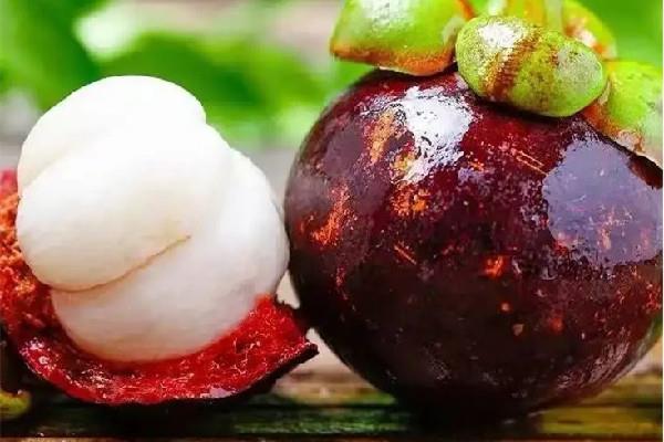 山竹放久了表皮会怎么样 山竹放几天会坏 山竹放久了表皮会怎么样 山竹放几天会坏