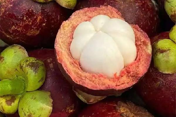 山竹放久了表皮会怎么样 山竹放几天会坏 山竹放久了表皮会怎么样 山竹放几天会坏