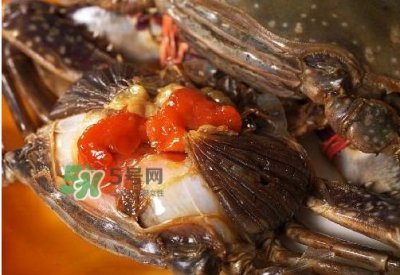 ​梭子蟹有蟹黄吗？梭子蟹蟹黄在哪里？