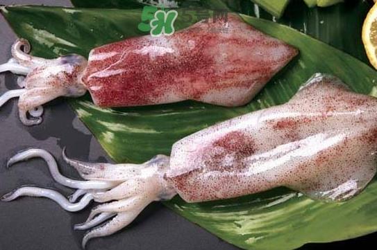 新鲜鱿鱼怎么处理?鱿鱼怎么清洗? 新鲜鱿鱼怎么处理?鱿鱼怎么清洗?