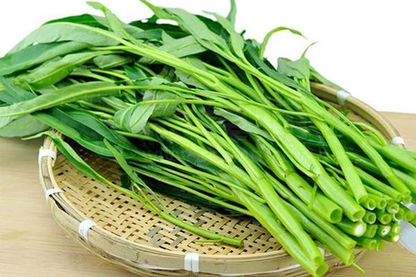 空心菜什么时候上市 空心菜什么季节吃最好 空心菜什么时候上市 空心菜什么季节吃最好