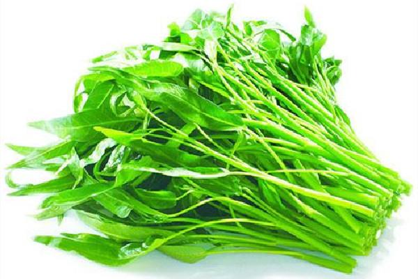 空心菜什么时候上市 空心菜什么季节吃最好 空心菜什么时候上市 空心菜什么季节吃最好