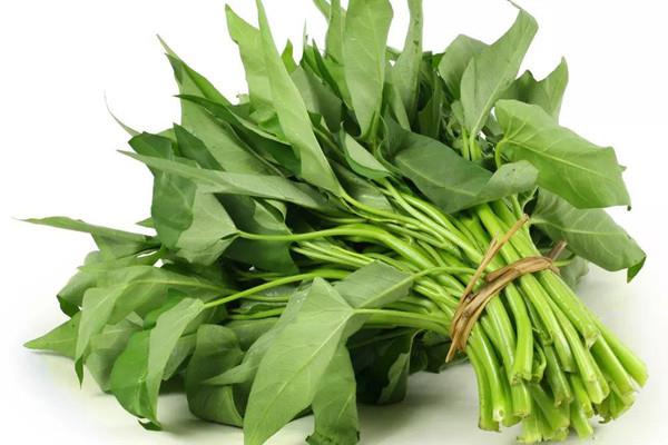 空心菜什么时候上市 空心菜什么季节吃最好 空心菜什么时候上市 空心菜什么季节吃最好