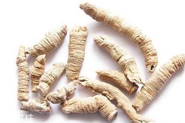 巴戟天和肉苁蓉的区别 药效不同 巴戟天和肉苁蓉的区别 药效不同