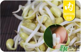 黄豆芽不熟有毒吗 黄豆芽炒不熟会中毒吗