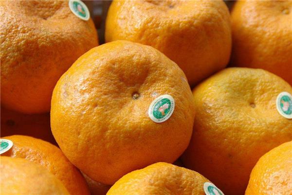 椪柑是热性还是凉性 不用担心上火 椪柑是热性还是凉性 不用担心上火