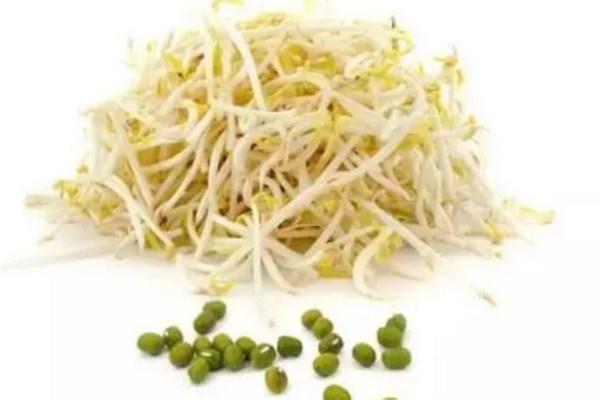 绿豆芽的功效和作用 绿豆芽可以经常吃吗