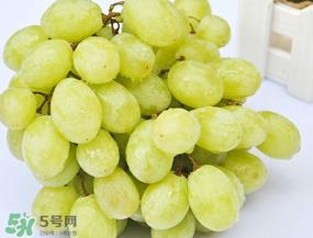 青提太酸怎么办?青提怎么放才甜 ? 青提太酸怎么办?青提怎么放才甜 ?