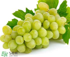 青提太酸怎么办?青提怎么放才甜 ? 青提太酸怎么办?青提怎么放才甜 ?