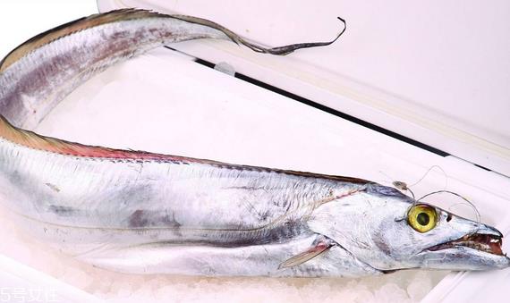 带鱼吃了会上火吗 吃多了才上火