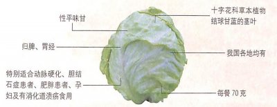 ​卷心菜的功效作用能抗炎杀菌