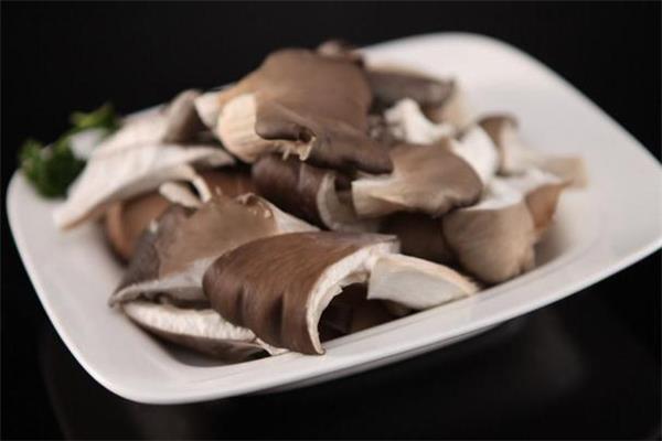 宝宝可以吃平菇吗 宝宝吃平菇有什么好处