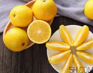 ​褚橙什么时候上市？褚橙是什么品种