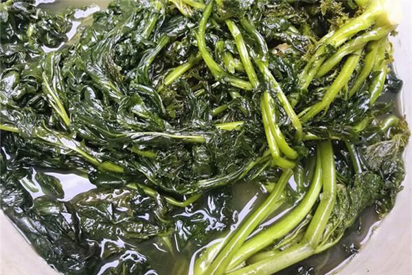 腌雪里红一斤放多少盐 腌雪里红盐放少了怎么办