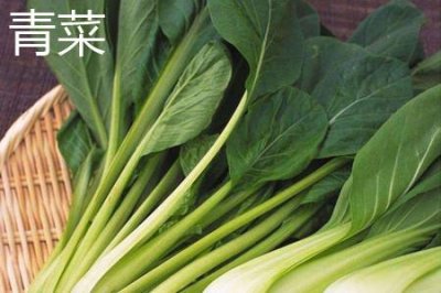 ​青菜和白菜的区别