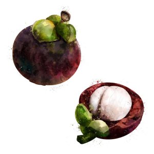 ​山竹多少钱一斤