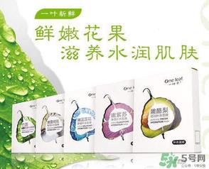 一叶子是韩束旗下的吗?一叶子和韩束什么关系? 一叶子是韩束旗下的吗?一叶子和韩束什么关系?