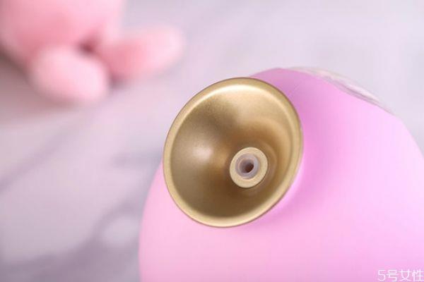 蒸脸器里面放什么美白 蒸脸器美白注意事项 蒸脸器里面放什么美白 蒸脸器美白注意事项