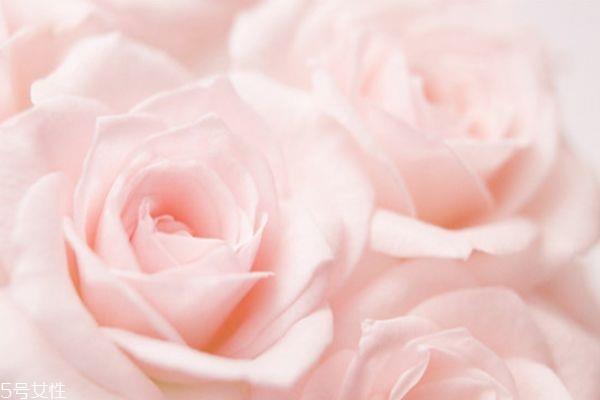 橄榄油面膜怎么做 橄榄油面膜作用 橄榄油面膜怎么做 橄榄油面膜作用