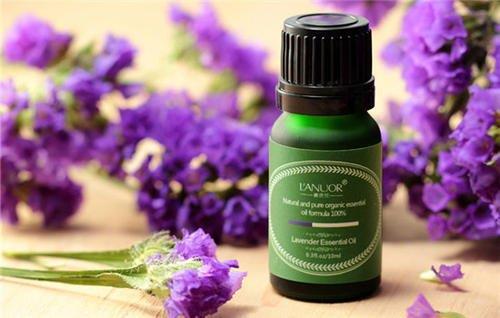 薰衣草精油的功效 薰衣草精油的使用方法 薰衣草精油的功效 薰衣草精油的使用方法