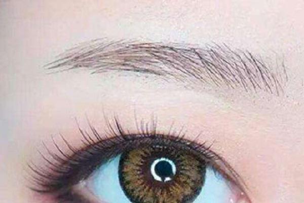 眉毛修坏了为什么长不出来了 怎样让眉毛增长更快 眉毛修坏了为什么长不出来了 怎样让眉毛增长更快