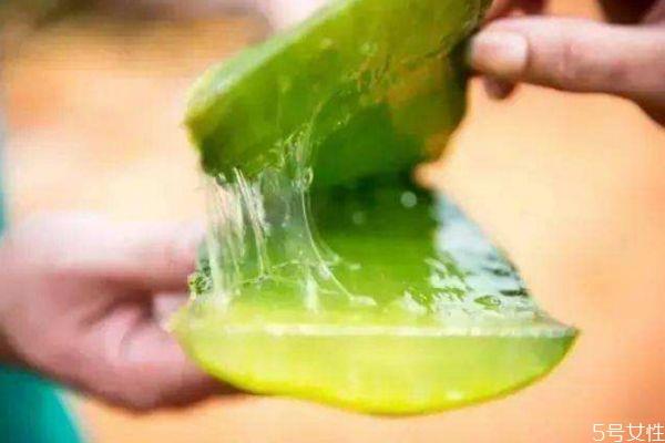 芦荟灌肤的功效和作用 芦荟灌肤的副作用 芦荟灌肤的功效和作用 芦荟灌肤的副作用