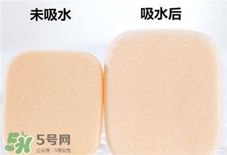 rosy rosa果冻海绵怎么用?rosy rosa果冻海绵用法
