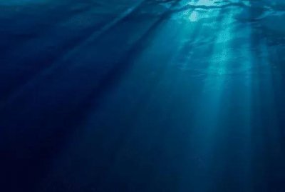 ​深海恐惧症、恐高症最怕的图片，看完你还好吗