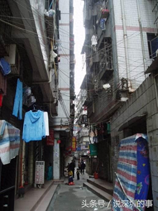 深圳最大的城中村“白石洲” 网友；这里的一草一木都有感情了