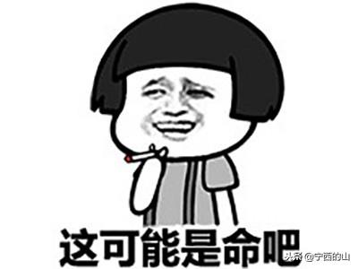 老司机表情包你肯定没有吧,赶紧收藏一下