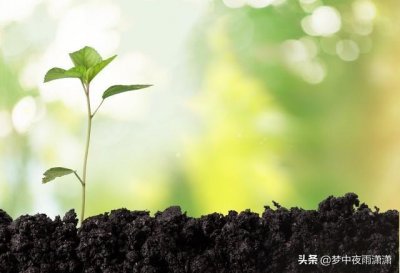 ​天蝎与白羊的神秘接触