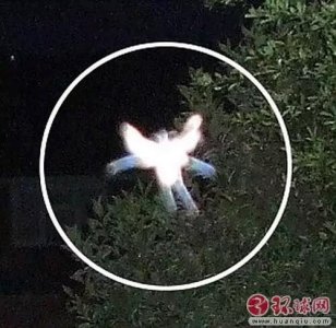 ​世界诡异事件盘点