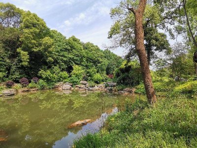 ​《西厢记》的人物形象
