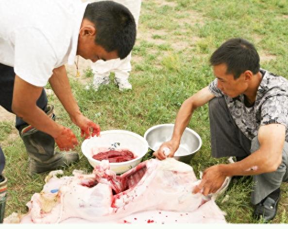 实拍少数民族杀羊仔全过程,过程令人咋舌,不忍心看!