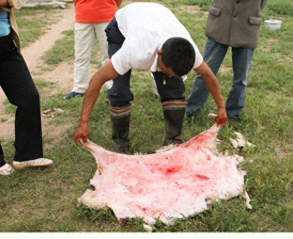 实拍少数民族杀羊仔全过程,过程令人咋舌,不忍心看!