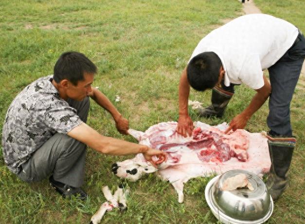 实拍少数民族杀羊仔全过程,过程令人咋舌,不忍心看!