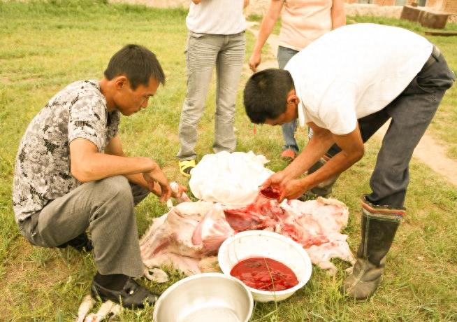 实拍少数民族杀羊仔全过程,过程令人咋舌,不忍心看!