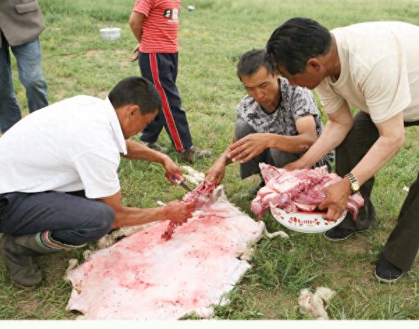 实拍少数民族杀羊仔全过程,过程令人咋舌,不忍心看!