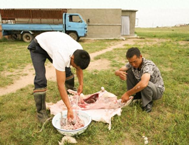 实拍少数民族杀羊仔全过程,过程令人咋舌,不忍心看!