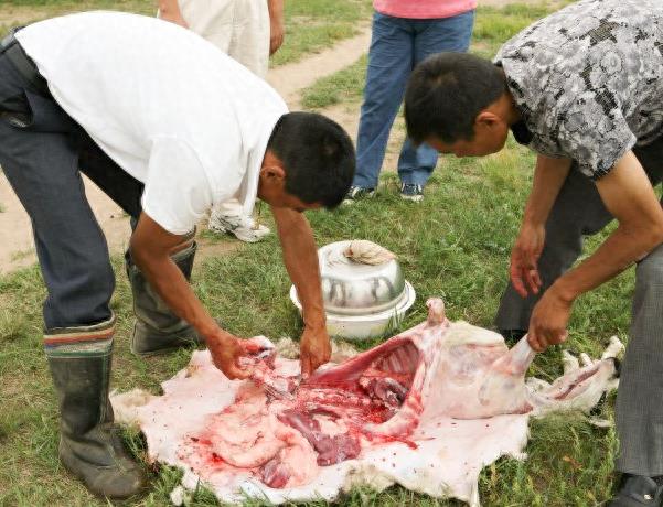 实拍少数民族杀羊仔全过程,过程令人咋舌,不忍心看!