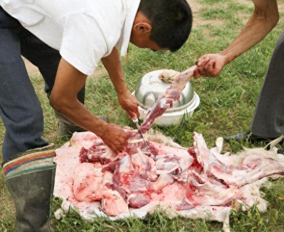 实拍少数民族杀羊仔全过程,过程令人咋舌,不忍心看!