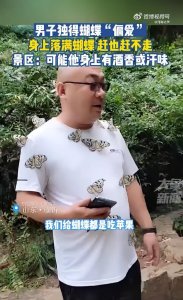 ​男版含香！山东一景区男子独得蝴蝶偏爱，身上落满蝴蝶赶也赶不走，景区工作人