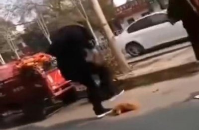 ​男子当街摔死两只宠物狗 警方回应：系精神障碍患者已被强制送医