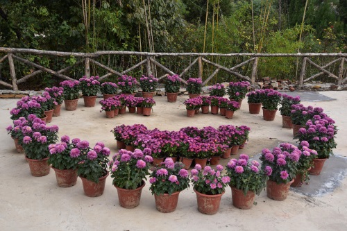 临沂罗庄麒麟山安然自得恬静