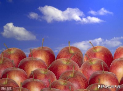 ​离太阳最近的大凉山野生苹果，有“高原冰糖心”，虽然丑却很甜