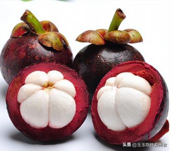 ​一斤山竹30元，为啥那么贵？看完生长采摘过程，原来贵有贵的道理