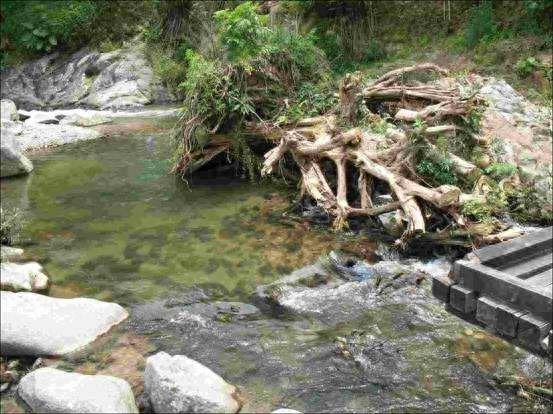 风景图集：五指山美图